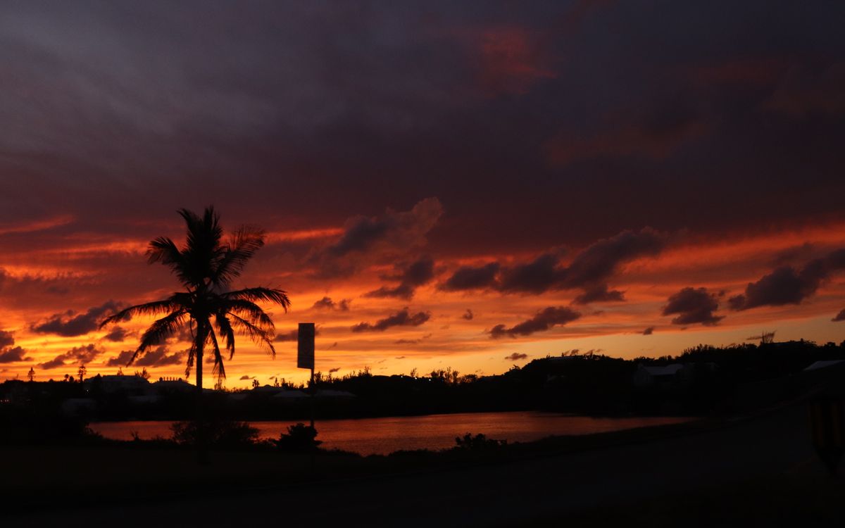 Bermuda sunset with palm tree silhouette