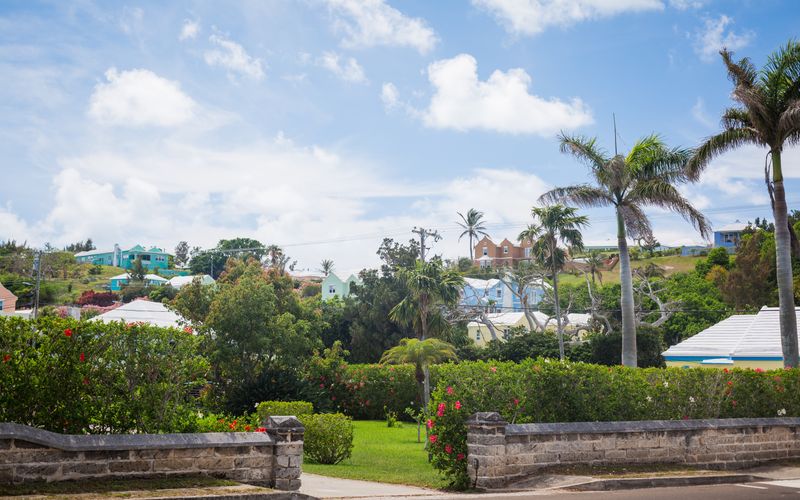 Colorful Bermuda cottages and palm trees under blue skies